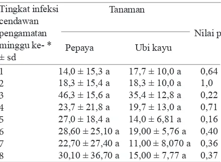 Tabel 3.  Persentase tingkat infeksi cendawan Entomo-phthorales pada Pacoccus marginatus di wilayah Rancabungur dan Bubulak