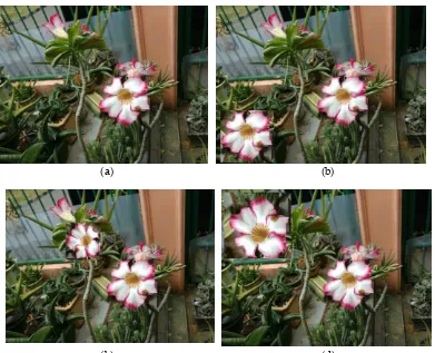 Gambar 5. Gambar asli (a) dan ketiga gambar manipulasi (b,c,d). 
