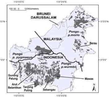 Tabel 2.  Perkiraan luas habitat dan jumlah orangutan di Sumatera 