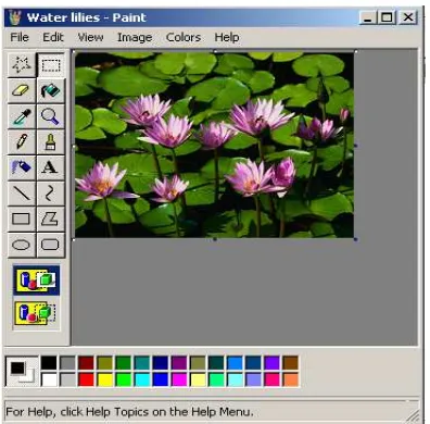 Gambar 4.2 Citra Digital Water Lillies.jpg 