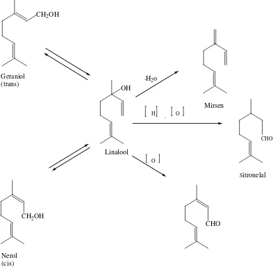 Gambar 2.3 Perubahan senyawa monoterpen (Achmad, 1986). 