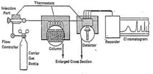 Gambar 2.5 Bagan suatu sistem kromatografi gas 