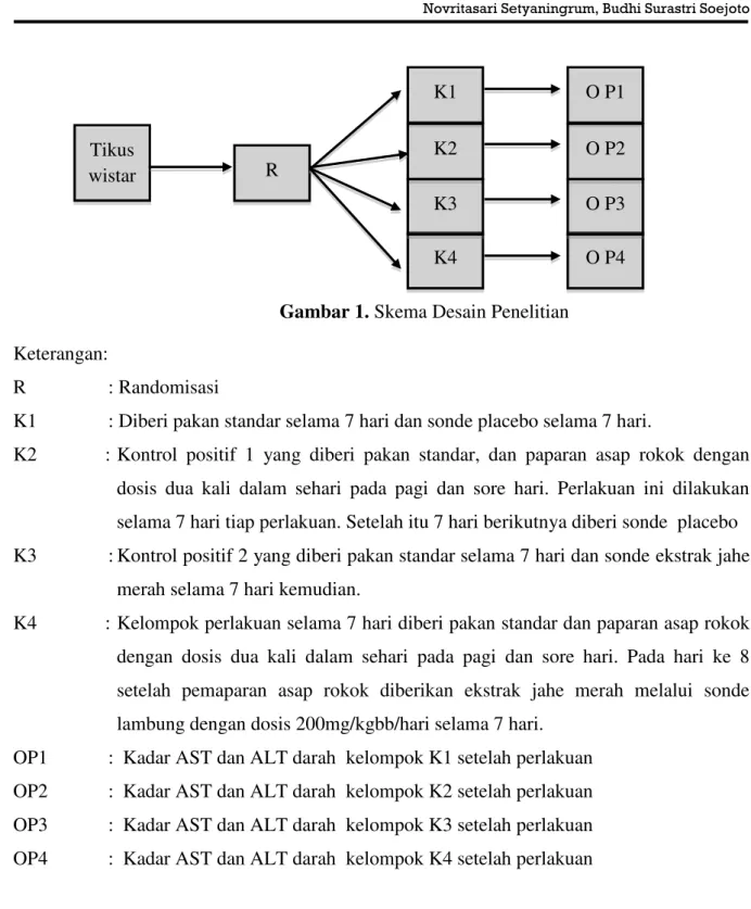Gambar 1. Skema Desain Penelitian 