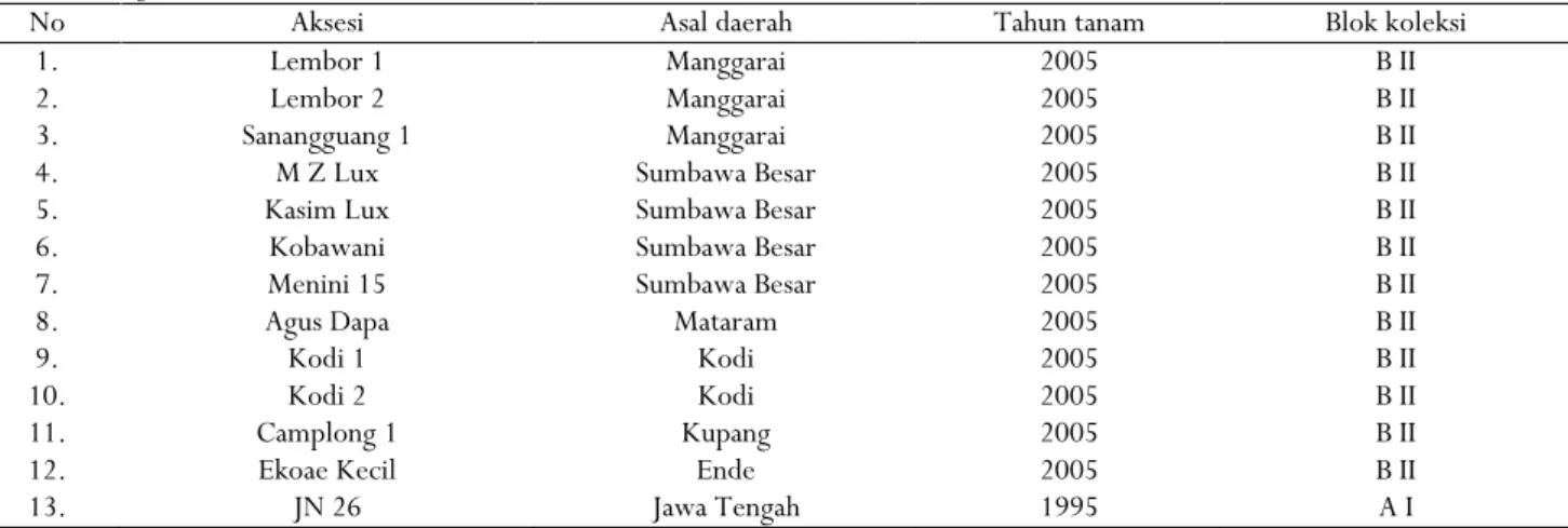 Tabel 1. Daftar aksesi jambu mete yang akan digunakan sebagai materi seleksi Table 1. List of cashew accessions used as selection material