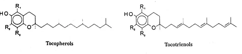 Gambar 1. Struktur Kimia Tokoferol dan tokotrienols (Combs, 1998)