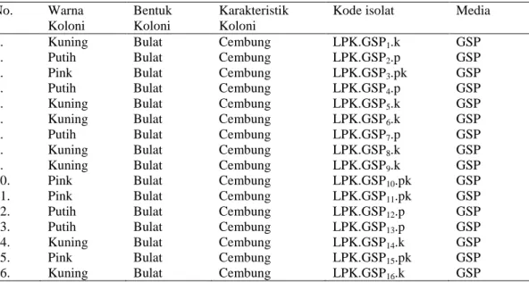 Tabel 1. Karakter Isolat Berdasarkan Warna, Bentuk, serta karakterisitik koloni 