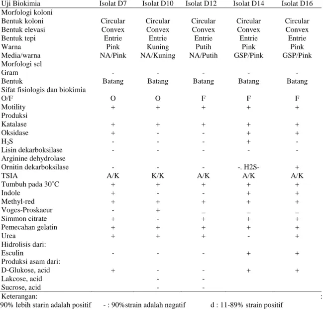 Tabel 4. Hasil Uji Biokimia isolat D7, D10, D12, D14, D16 sebagai Agensia Penyebab Penyakit pada Ikan  Lele Dumbo (C