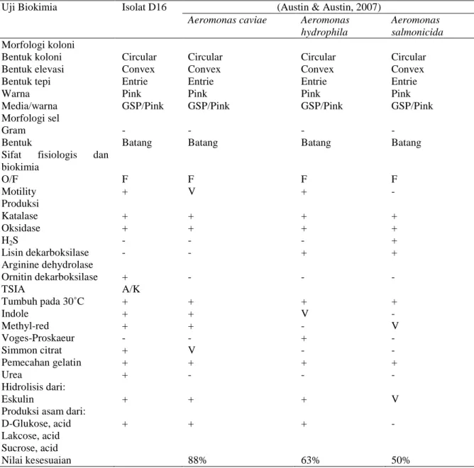 Tabel  9.  Hasil  Uji  Biokimia  Isolat  D16  sebagai  Agensia  Penyebab  pada  Ikan  lele  Dumbo  (C