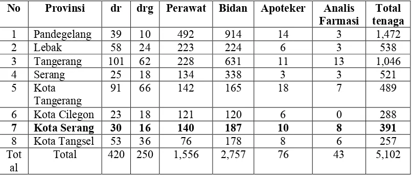 Tabel 1.1 Jumlah Distribusi Puskesmas Menurut Ketersediaan Tenaga Kerja 