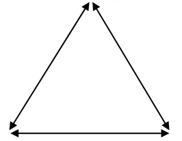 Gambar. 3.1 Triangle Meaning 