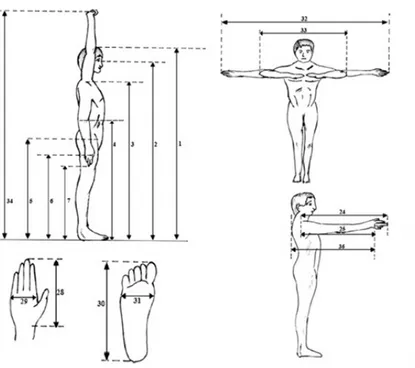 Gambar 1. Bodyspace posisi berdiri