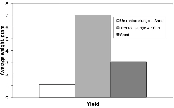 Figure 4. Effect of Untreated Sludge with sand, treated sludge (compost) with sand,and sand (control) on C