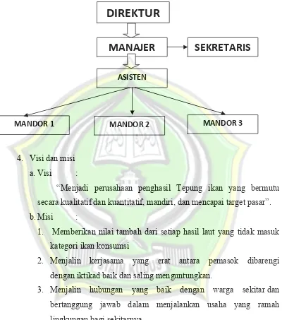 Gambar 4.1 Struktur organisasi PT. Indocitra Putera Samudera 