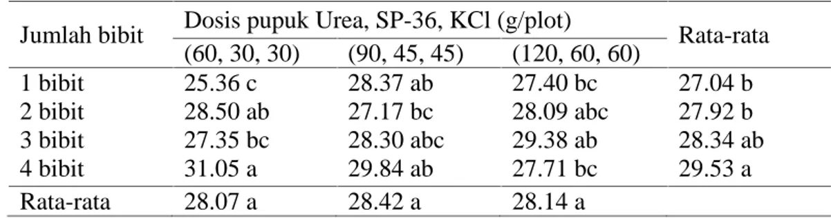 Tabel  7.  Rata-rata berat  1000 biji gabah  Padi  Sawah  Varietas  Batang  Piaman dengan Berbagai perlakuan jumlah bibit dan dosis pupuk.