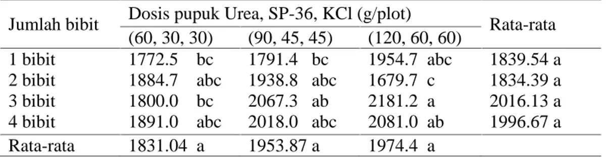 Tabel  8.  Rata-rata produksi  gabah  kering  giling per  plot Padi  Sawah  Varietas Batang Piaman dengan berbagai perlakuan jumlah bibit dan dosis pupuk.
