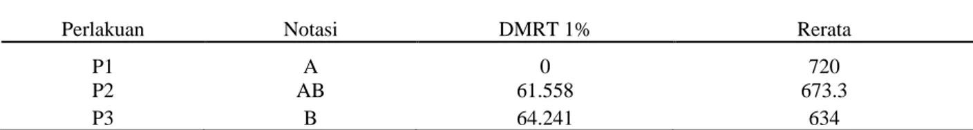 Tabel 3. Hasil uji lanjut DMRT 1% faktor P pada berat tongkol per sample plot. 