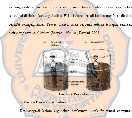 Gambar 5. Proses dialisis 