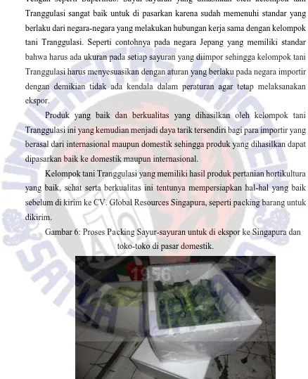 Gambar 6: Proses Packing Sayur-sayuran untuk di ekspor ke Singapura dan 