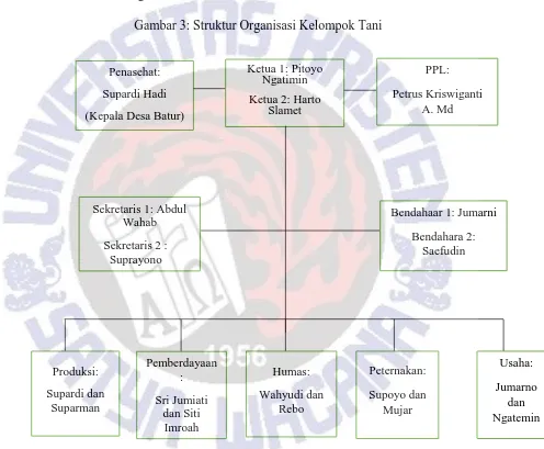 Gambar 3: Struktur Organisasi Kelompok Tani 