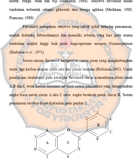 Gambar 2. Kerangka dan penomoran flavonoid ( Mabry et al., 1970 ) 