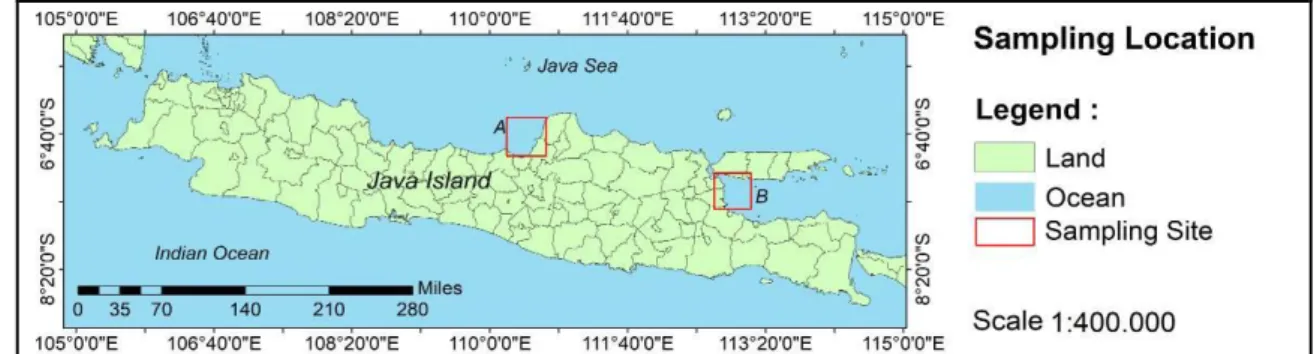 Gambar 1. Lokasi Pengambilan Sampel Bivalvia di sekitar Pesisir Demak dan Surabaya 