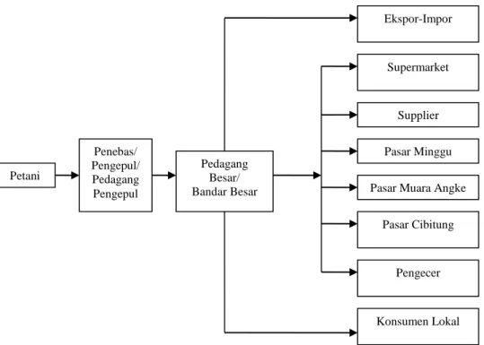 Gambar 1. Sistem Pemasaran Komoditas Mangga di Kabupaten Majalengka  (Sumber : Laporan Hasil Penelitian Dinas Pertanian Tanaman Pangan Provinsi Jawa Barat, 