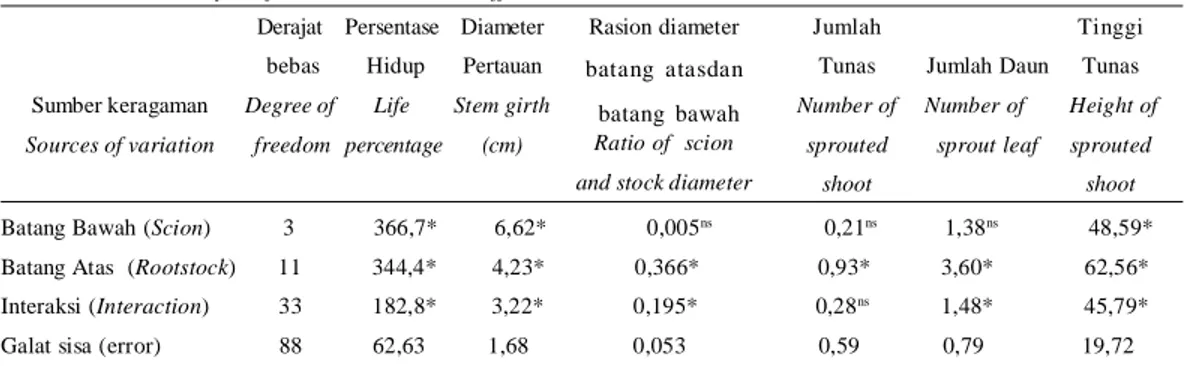 Tabel  1. Analisis ragam pengaruh batang bawah dan batang atas kakao serta interaksinya Table  1