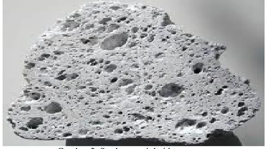 Gambar 2. Struktur pori dari batu apung 