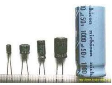 Gambar 2.5.5.  Electrolytic Capacitor (ELCO) 
