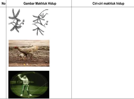 Gambar Makhluk Hidup
