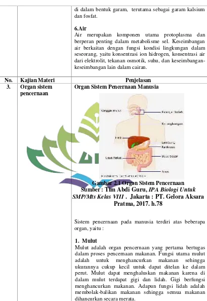 Gambar 2.1 Organ Sistem Pencernaan