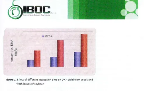 Figure 1. Effect of different incubation time on DNA yield from seeds and 