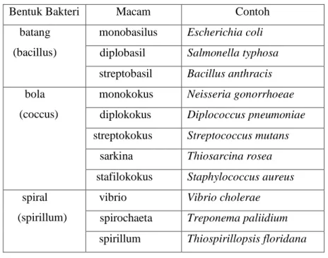 Tabel 5 Bentuk Bakteri 45