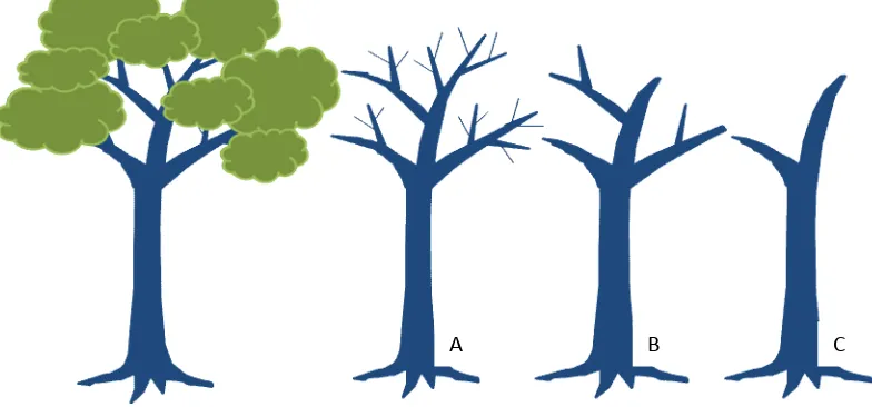 Gambar 4.  Kategori tingkat keutuhan pohon mati. A: 90% biomasa tersisa, B; 80% biomasa tersisa dan C: 70% biomasa tersisa.