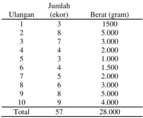 Tabel      1.  Hasil  Tangkapan  Ikan  Kakap  (Lutjanus  sp)  dengan  Menggunakan  Mata  Pancing  nomor 6 dan  Berumpan Ikan layur 