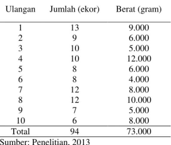 Tabel  4.  Hasil  Tangkapan    Ikan  Kakap  (Lutjanus  sp)  dengan  Menggunakan  Mata  Pancing nomor 9 dan  Berumpan Tembang Ulangan 