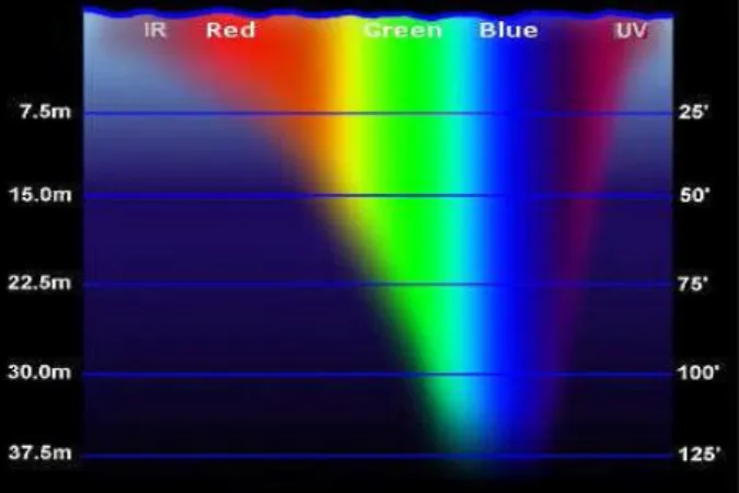 Gambar 3. Spektrum Warna Transmisi Cahaya di Dalam Air  (Sumber : An et al., 2012) 