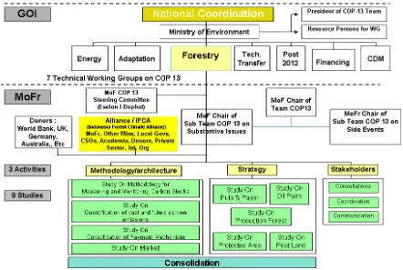 Figure 1. IFCA process in the National Climate Change Context prior COP-13
