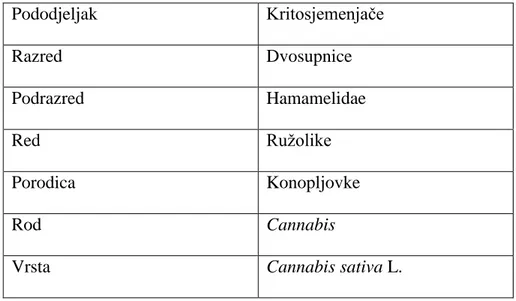 Tablica 1.: Klasifikacija Cannabis sativa L. (Lehmann i Brenneisen, 1995.) (izvor: Cannabis;  Extractingthe medicine, Hazekamp, 2007.) 