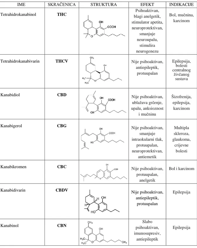 Tablica 3.: Popis najpoznatijih kanabinoida, njihova struktura, fiziološki učinak i indikacija  (izvor: Mintz i sur., 2015.) 