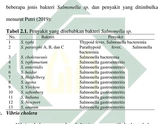 Tabel 2.1. Penyakit yang disebabkan bakteri Salmonella sp. 