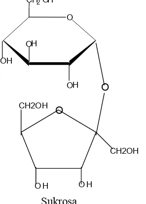 Gambar 14.20 Sukrosa, terbentuk dari ikatan 1,2 glikosida antara glukosa dengan 