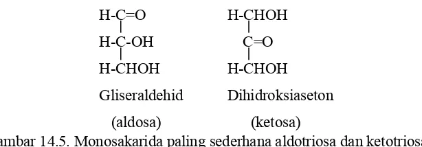 Gambar 14.5. Monosakarida paling sederhana aldotriosa dan ketotriosa  