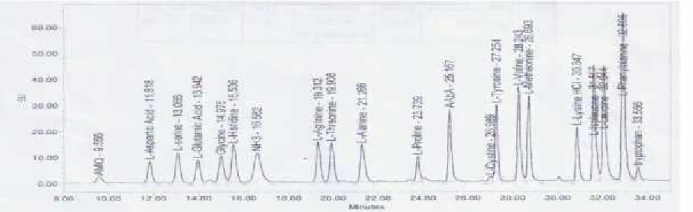 Gambar 2. Kromatogram asam amino standar