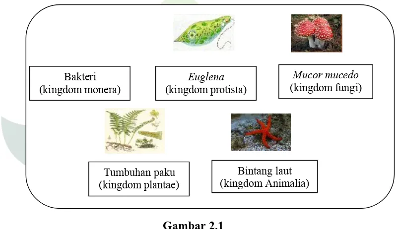 Gambar 2.1Contoh spesies organisme hidup yang menjadi objek biologi