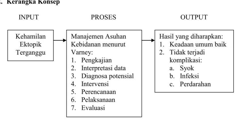 Gambar 2.1.  Kerangka Konsep 