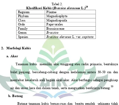 Klasifikasi Kubis (Tabel 2.Brassica oleraceae L.)29