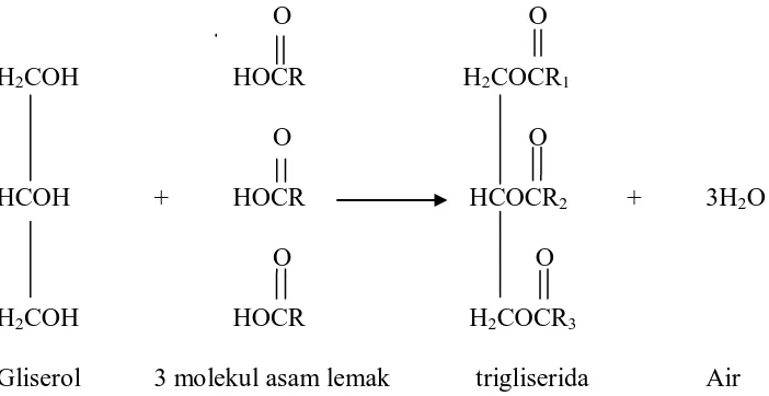 Gambar 1. Pembentukan trigliserida dari reaksi gliserol dan asam lemak 
