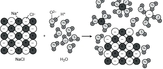 Gambar 2.Proses hidrasi senyawa ion 