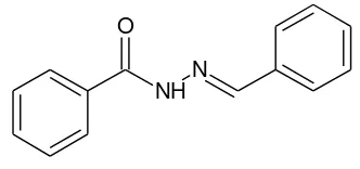 Gambar 1.1  Struktur utama golongan asilhidrazon